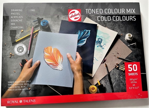 Royal Talens Toned Paper mix cold, A4 180 g/m² (50 sheets)